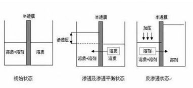 ro膜是什么？為什么說它是凈水器的靈魂？