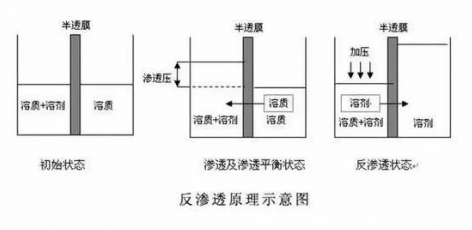 ro膜是什么？為什么說它是凈水器的靈魂？  hot